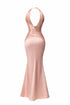 back of Pink evening gown with halter neckline on a white background